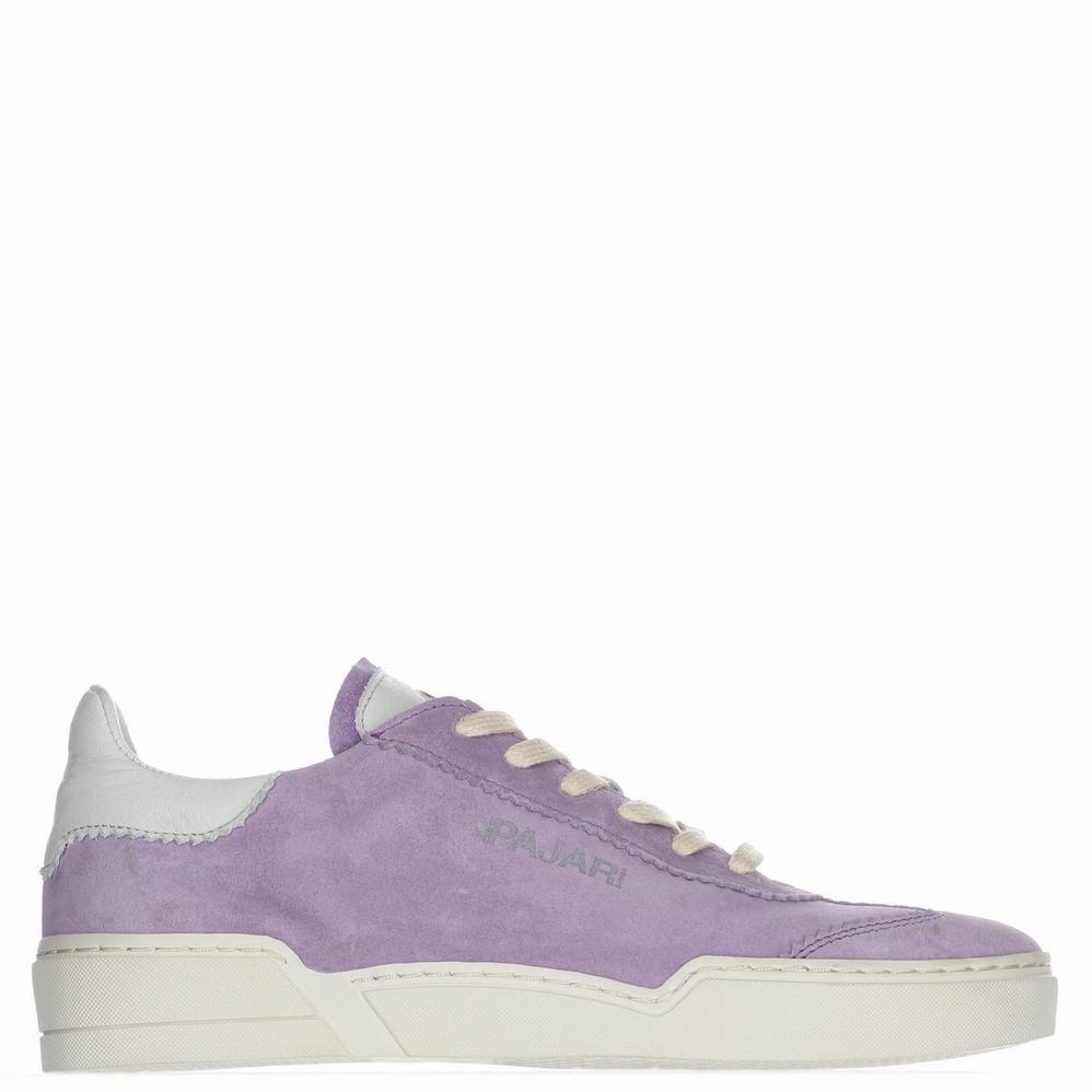 Adidași Dama Pajar Geda Violet | AMP658XP